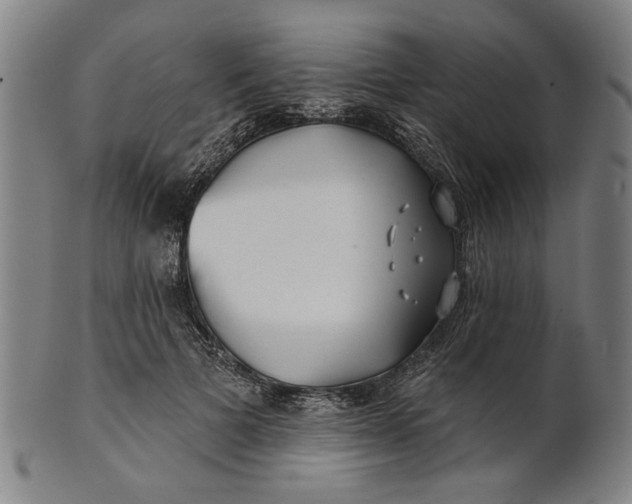 X0000100840697200807111152