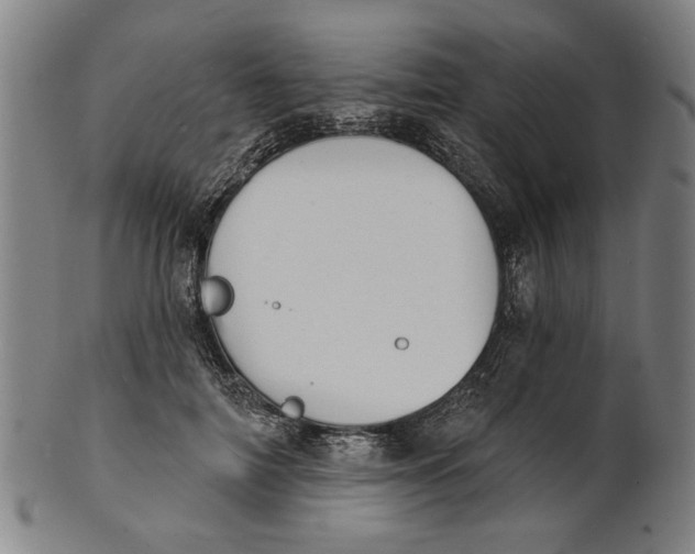 X0000100840698200807111152