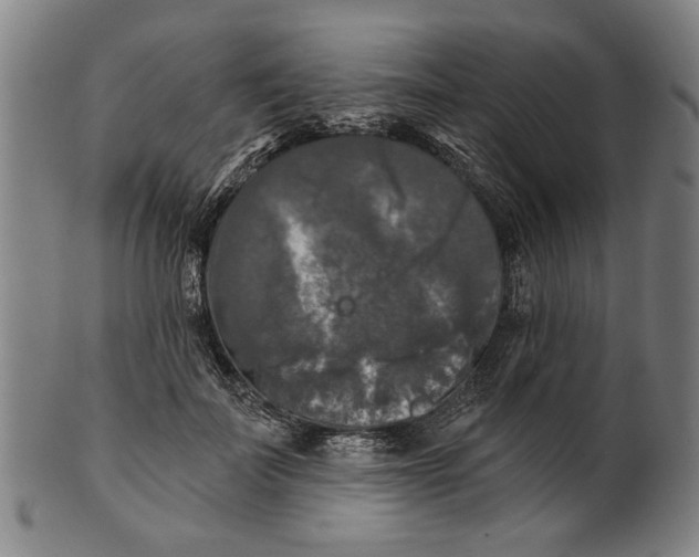 X0000100840699200807111152