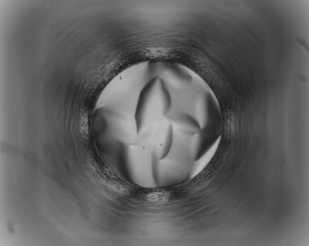 X0000100840700200807111152