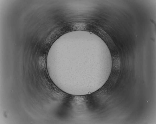 X0000100840701200807111152