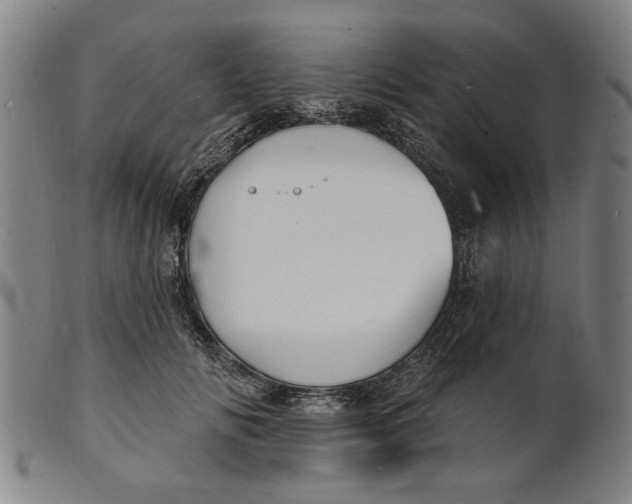 X0000100840702200807111152