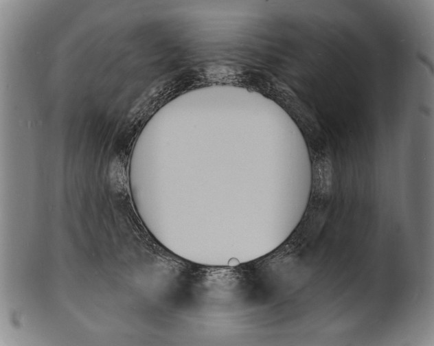 X0000100840705200807111152