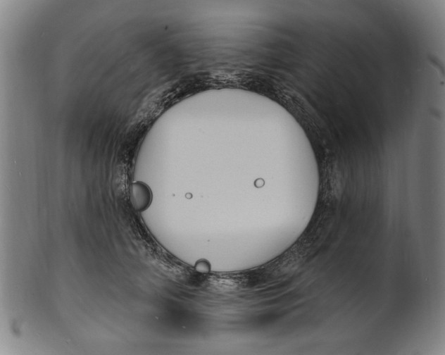 X0000100840706200807111152