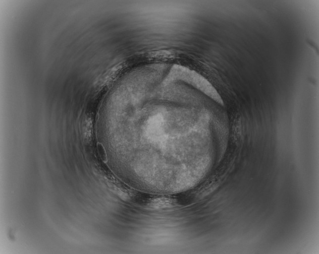 X0000100840708200807111152