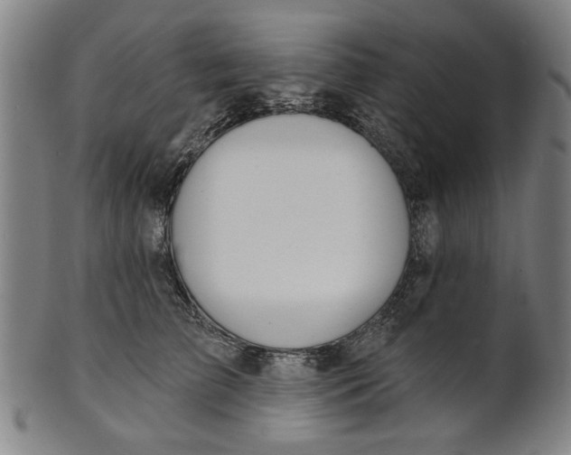 X0000100840709200807111152