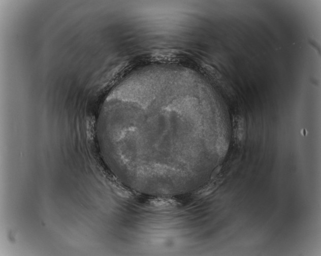 X0000100840712200807111151