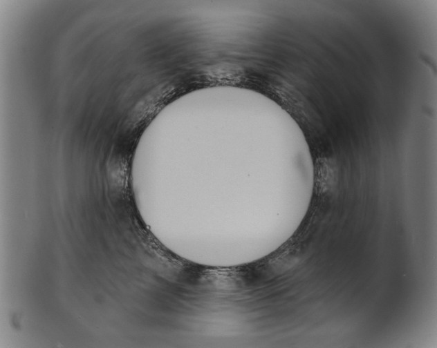 X0000100840713200807111151