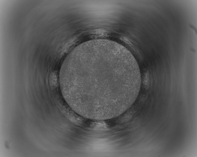 X0000100840715200807111151