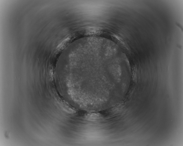 X0000100840716200807111151