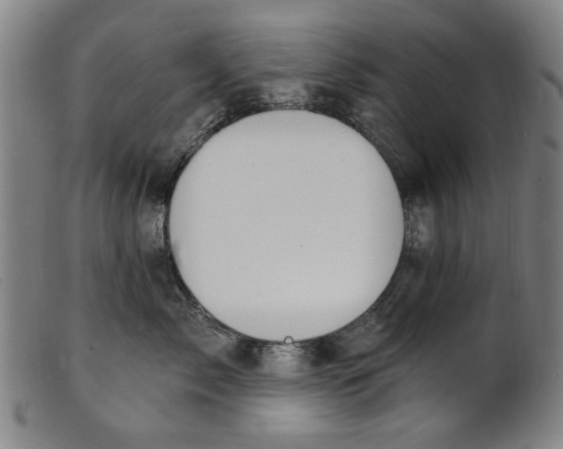 X0000100840717200807111151