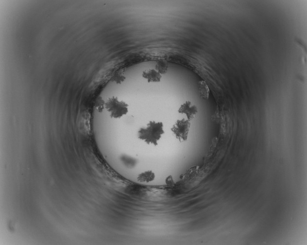 X0000100840718200807111151