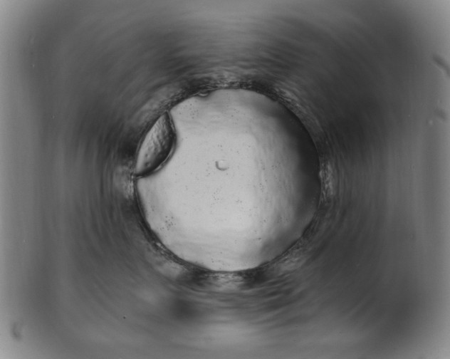 X0000100840719200807111151