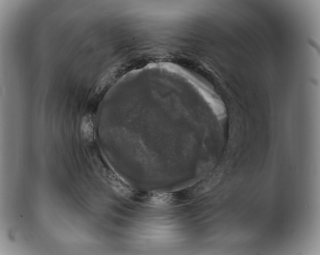 X0000100840720200807111151