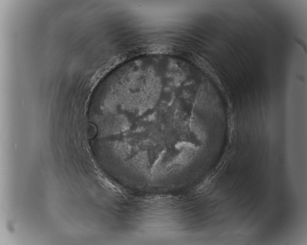 X0000100840721200807111150