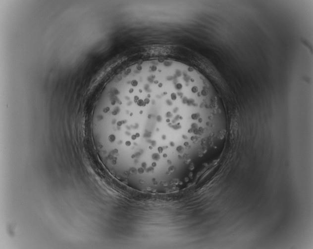 X0000100840722200807111150