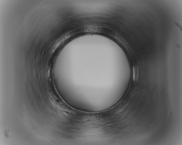 X0000100840723200807111150