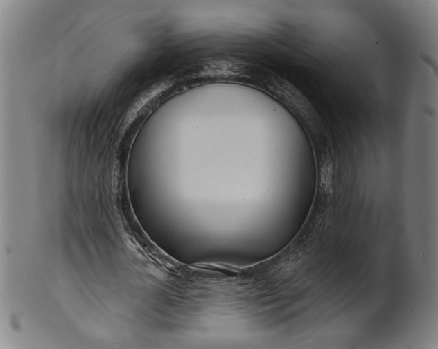 X0000100840724200807111150