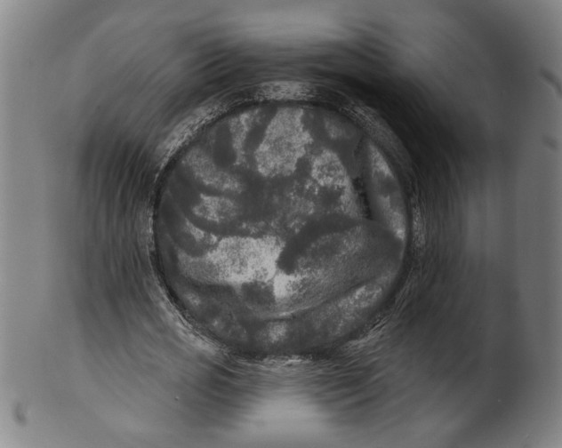 X0000100840725200807111150