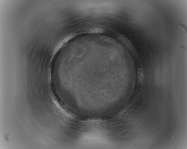 X0000100840726200807111150