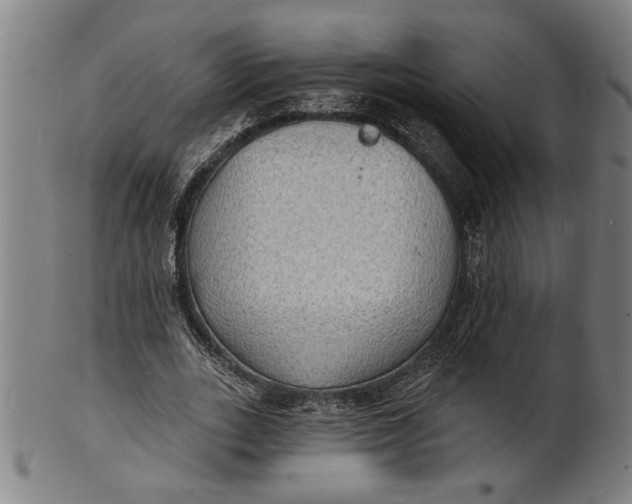 X0000100840727200807111150