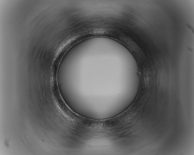 X0000100840728200807111150