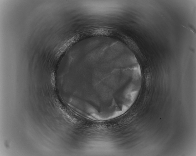 X0000100840729200807111150