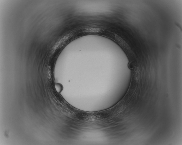 X0000100840731200807111151