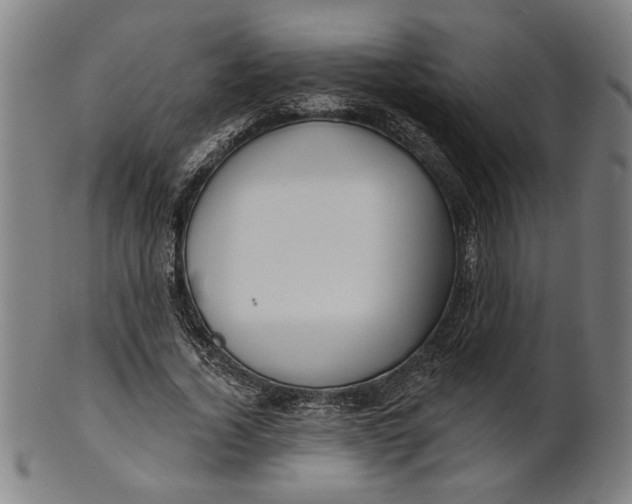 X0000100840732200807111151