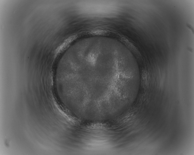 X0000100840734200807111151