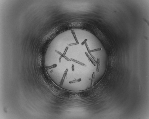 X0000100840735200807111151