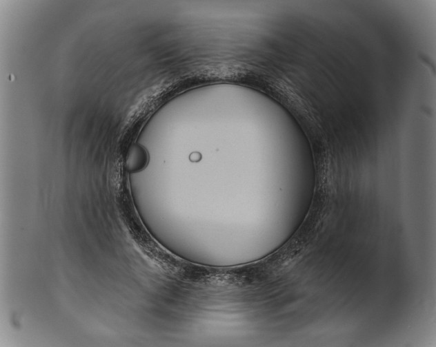 X0000100840736200807111151