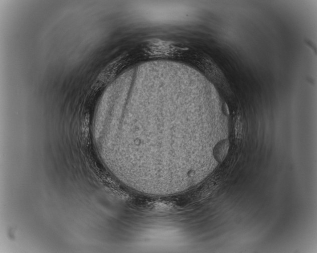 X0000100840737200807111151