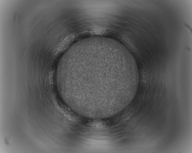 X0000100840738200807111151