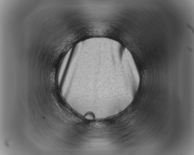 X0000100840739200807111151