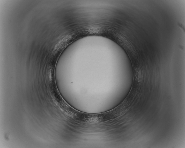 X0000100840740200807111151