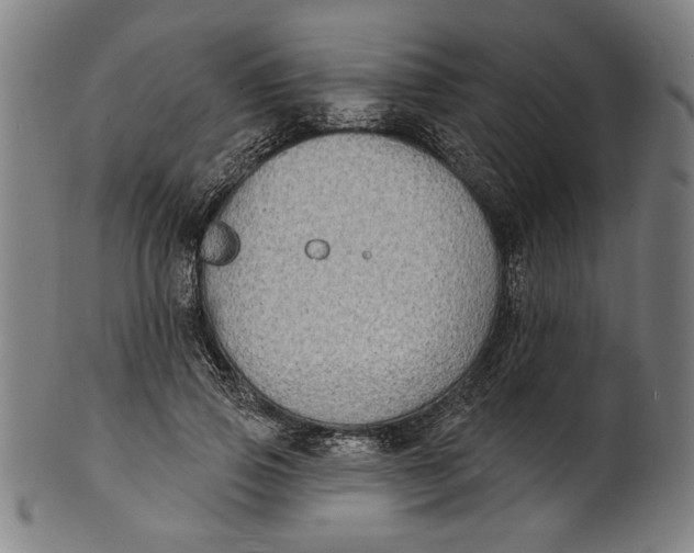 X0000100840741200807111151