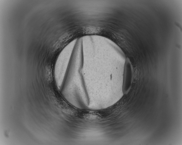 X0000100840743200807111151