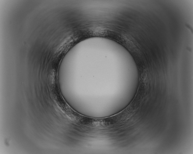 X0000100840744200807111151