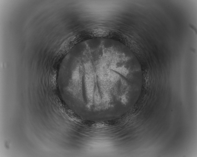 X0000100840745200807111151