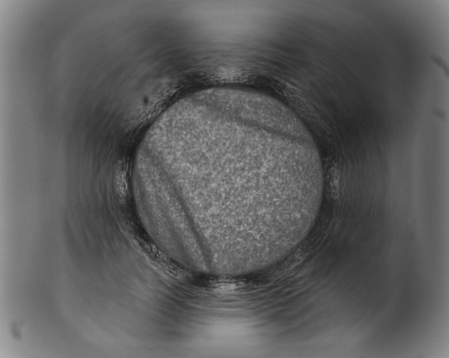 X0000100840746200807111151