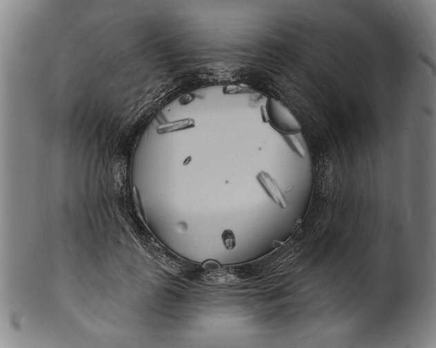 X0000100840747200807111151