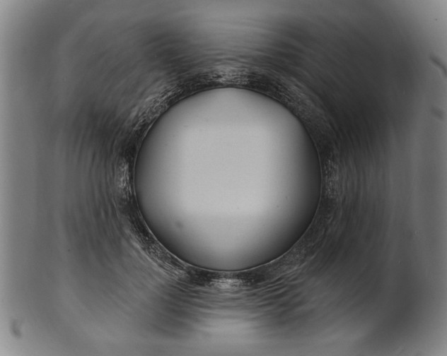 X0000100840748200807111151