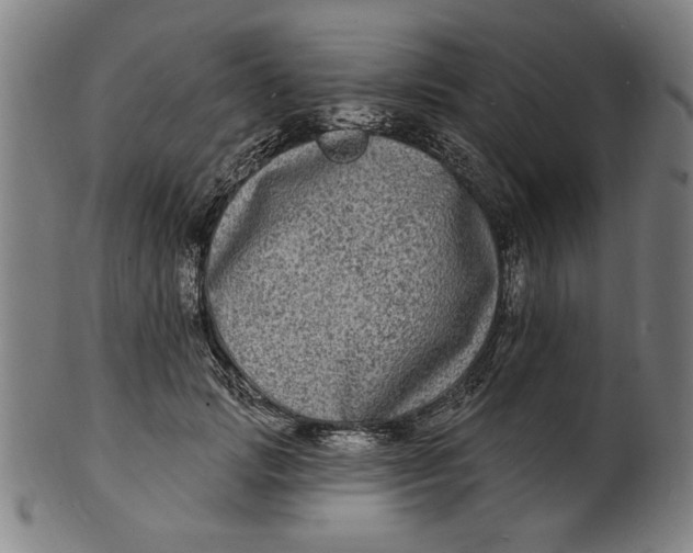 X0000100840749200807111151