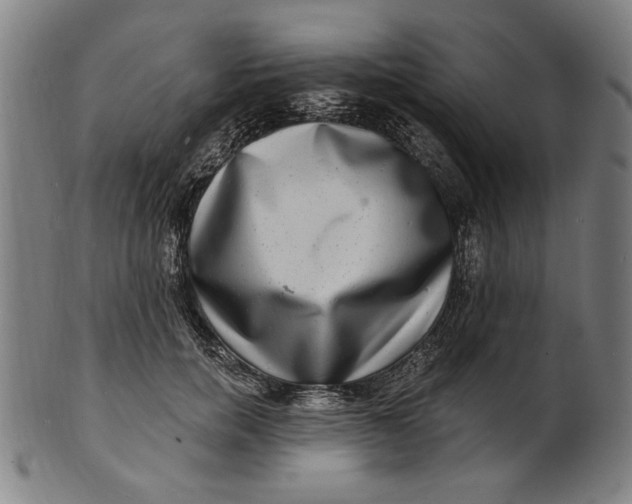 X0000100840750200807111151