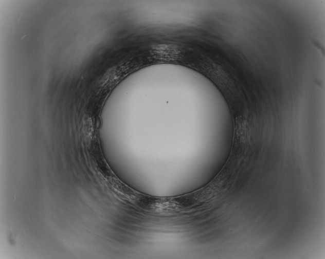 X0000100840752200807111151