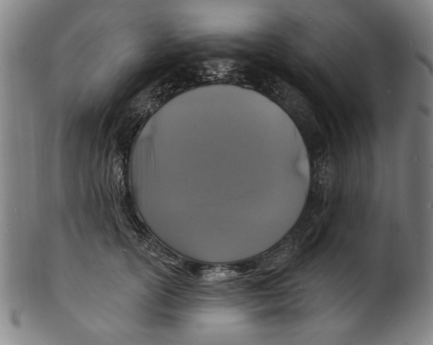 X0000100840754200807111151