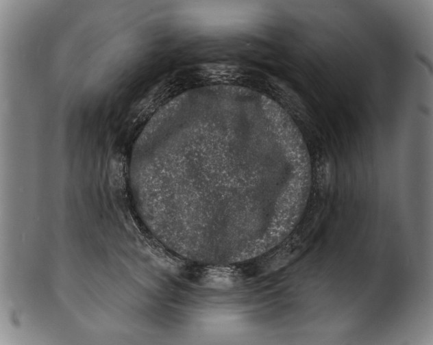 X0000100840757200807111151