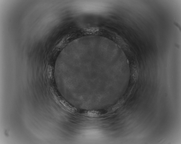 X0000100840758200807111151