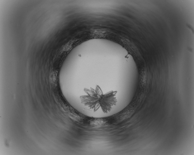 X0000100840759200807111151